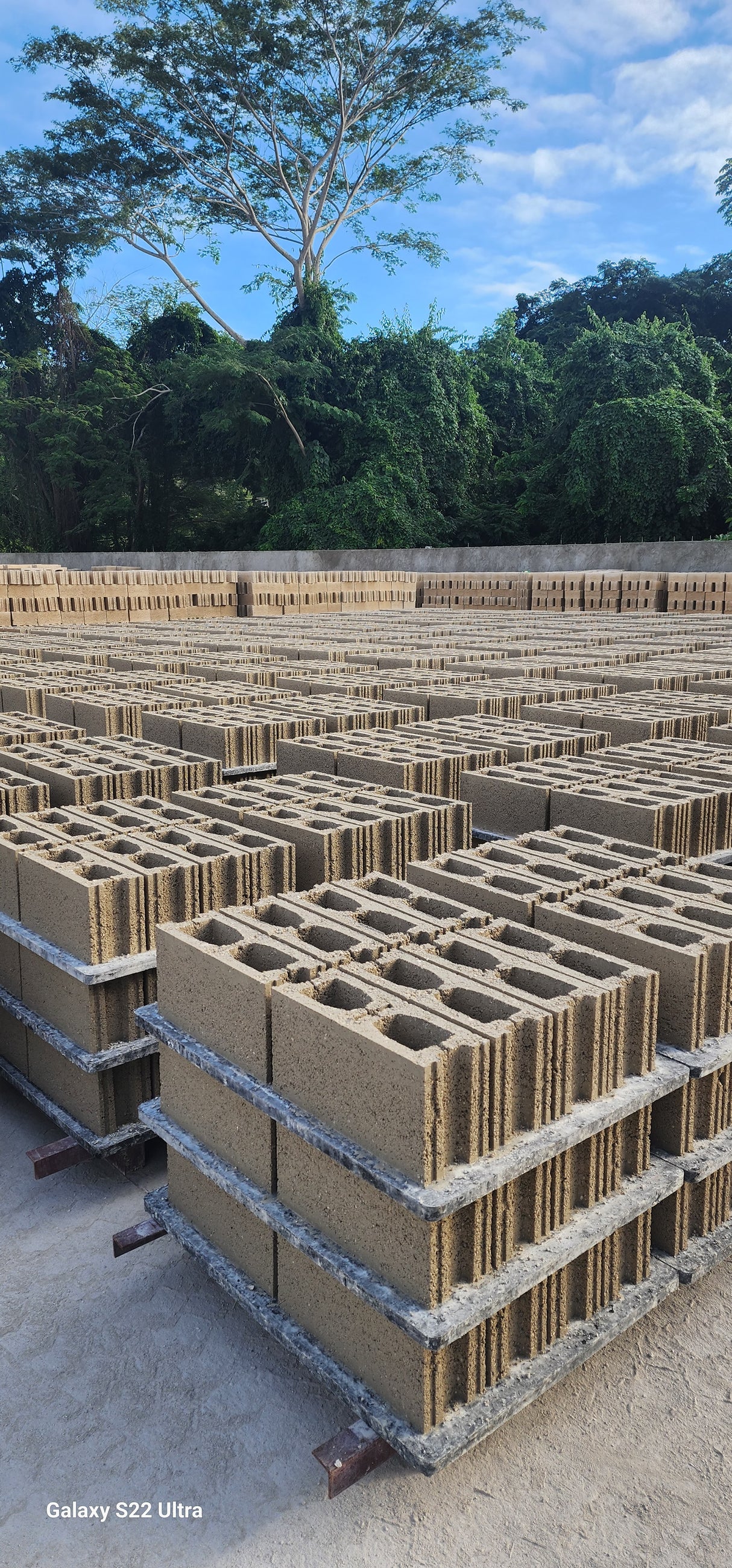 6" Concrete Blocks.