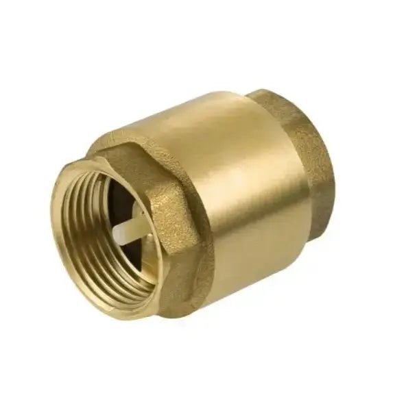 Brass 1/2" Spring Check Valve - GRAHAMS HARDWARE