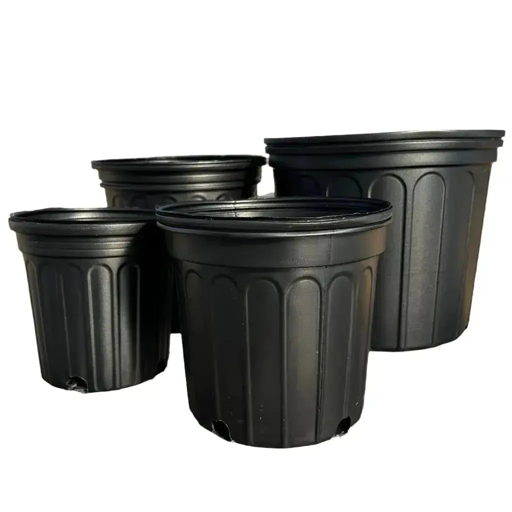 POT BLACK 3 GAL #12.