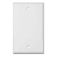 PVC  BLANK COVER WHITE 1G - GRAHAMS HARDWARE